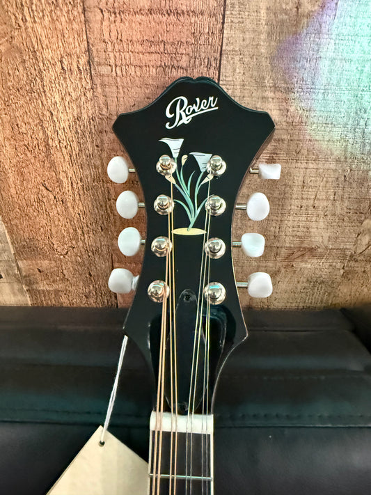 Rover Mandolin RM-80S