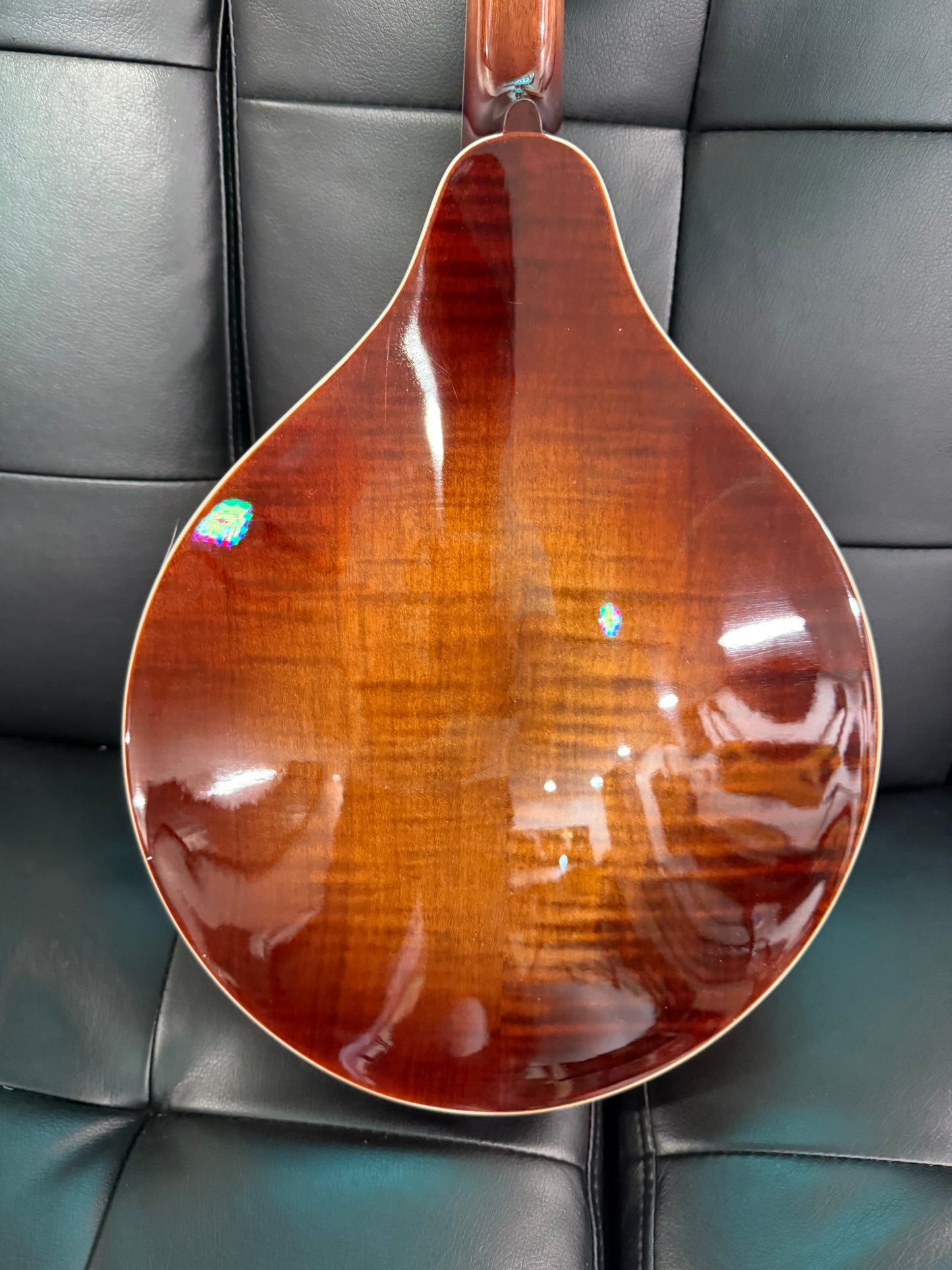 Rover Mandolin RM-80S