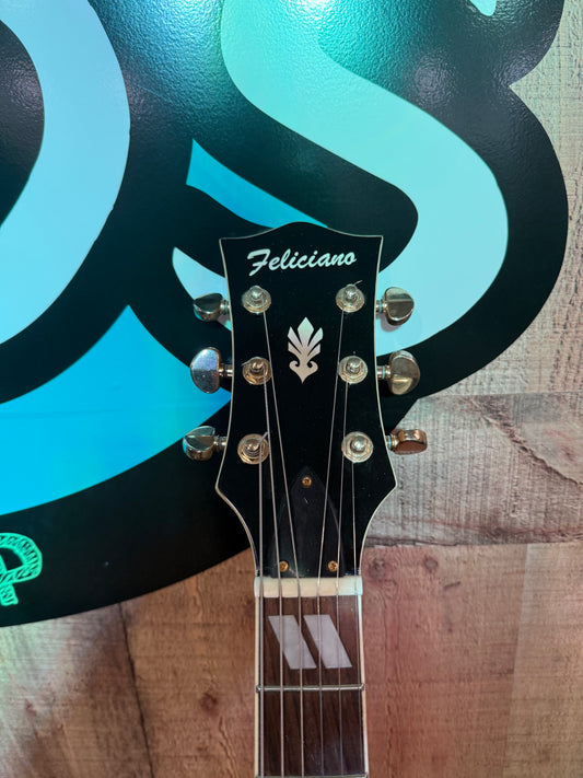 Feliciano Hollow Body Electric Guitar (USED)