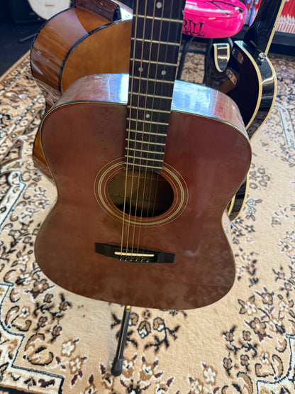 Takamine Acoustic Guitar (USED)