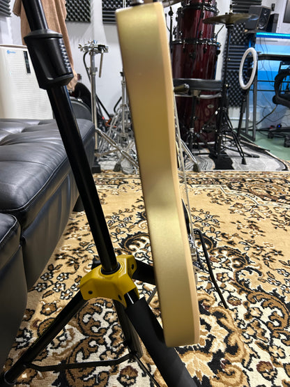 EVH Wolfgang Special Gold
