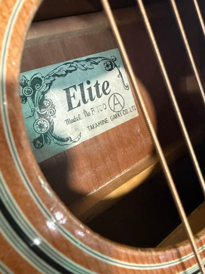 Elite Acoustic Guitar by Takamine (USED)
