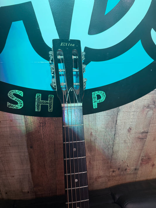 Elite Acoustic Guitar by Takamine (USED)