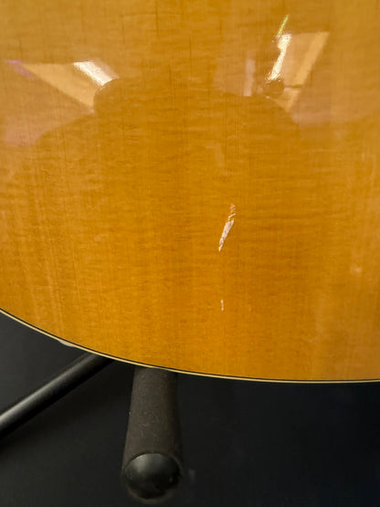 Laguna Acoustic Guitar LG300 CE (USED)