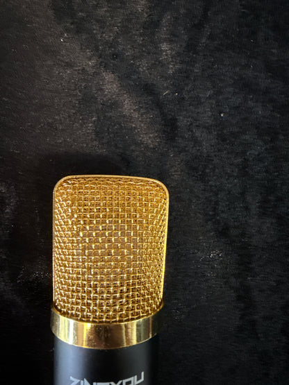 Zingyou ZY-007 Condenser Microphone (USED)