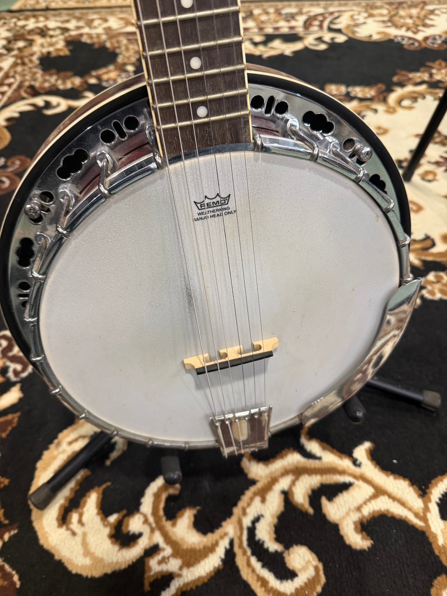 Fender 6 String Banjo (USED)