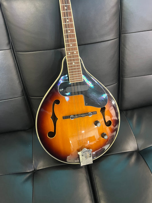 Fender FM 52E Mandolin (USED)