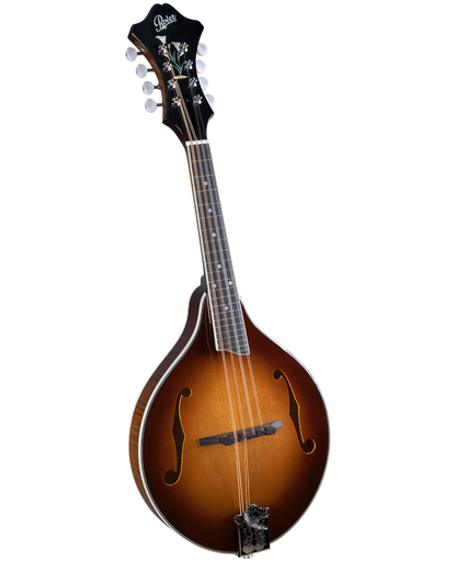 Rover RM-80S Deluxe A-Model Mandolin Burgundy Burst