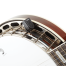 Micro Banjo Tuner
